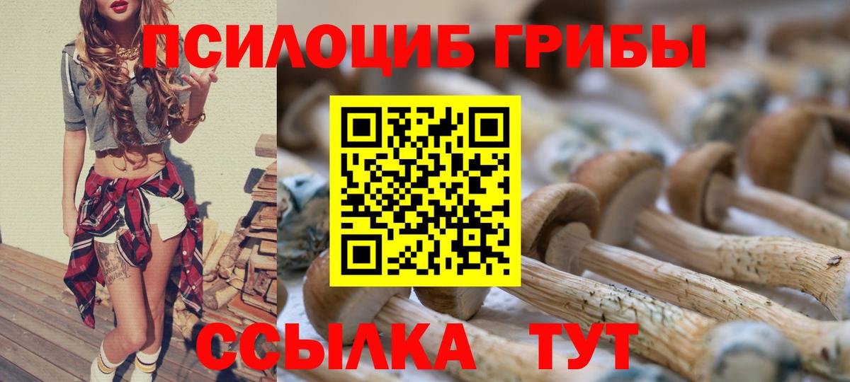 Псилоцибиновые грибы Psilocybe  Галлюциногенные грибы Magic Shrooms  Сухой Лог  Вход с VPN 