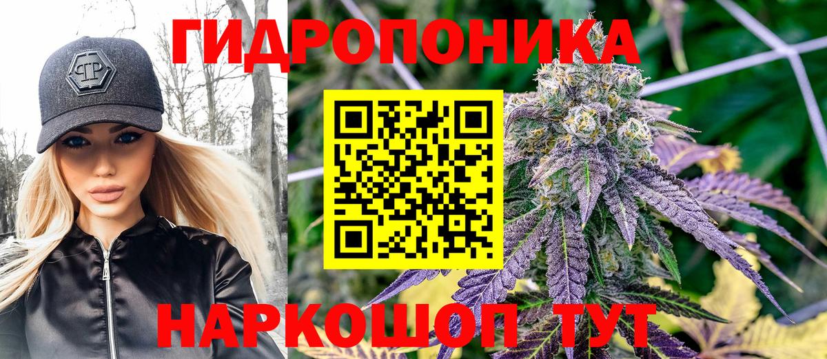 Сухой Лог  Бошки марихуана индика  Вход с VPN  МАРИХУАНА SATIVA & INDICA  Марихуана Amnesia 